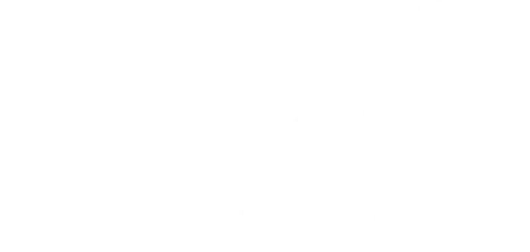National Disability Alliance Logo